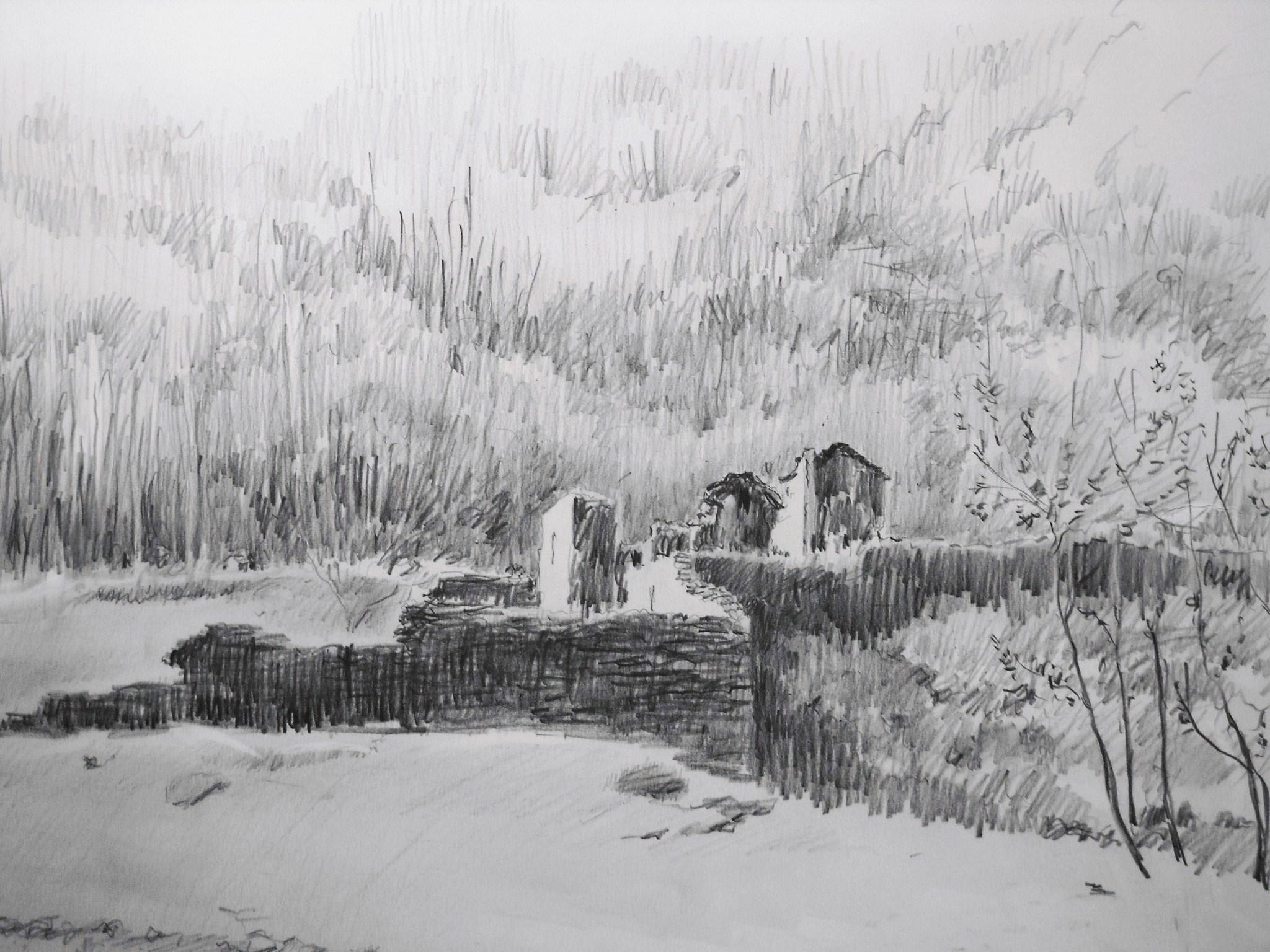 205. 2010. matita. semione. castello. 48x30